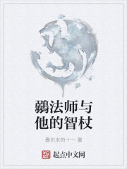 鶸法师与他的智杖